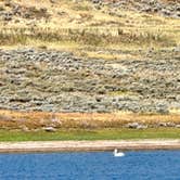 Review photo of Strawberry Bay by Tamie S., November 10, 2025