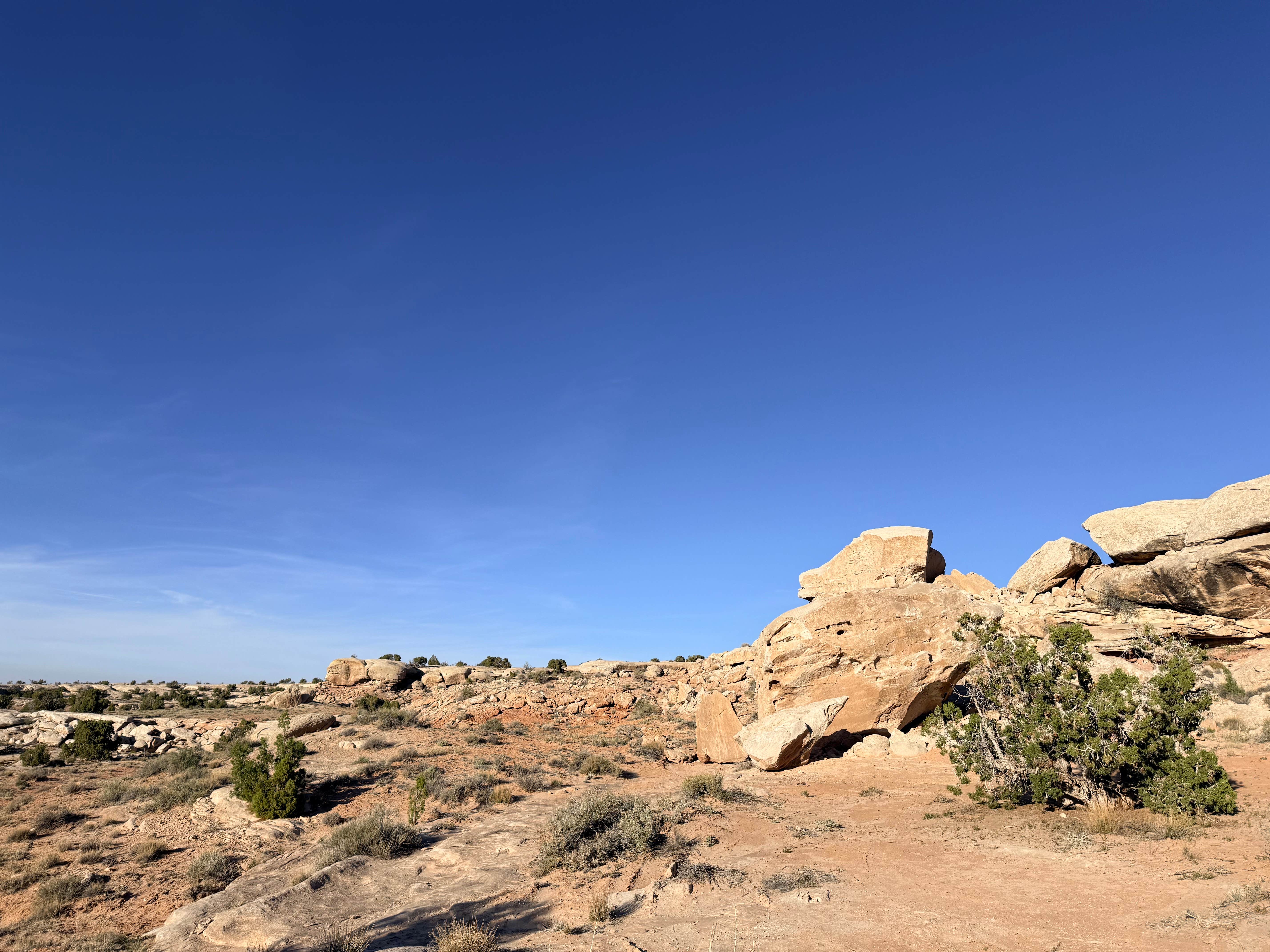 Camper-submitted photo at BLM Mix Pad Dispersed - Cathedral Valley near Hanksville, UT