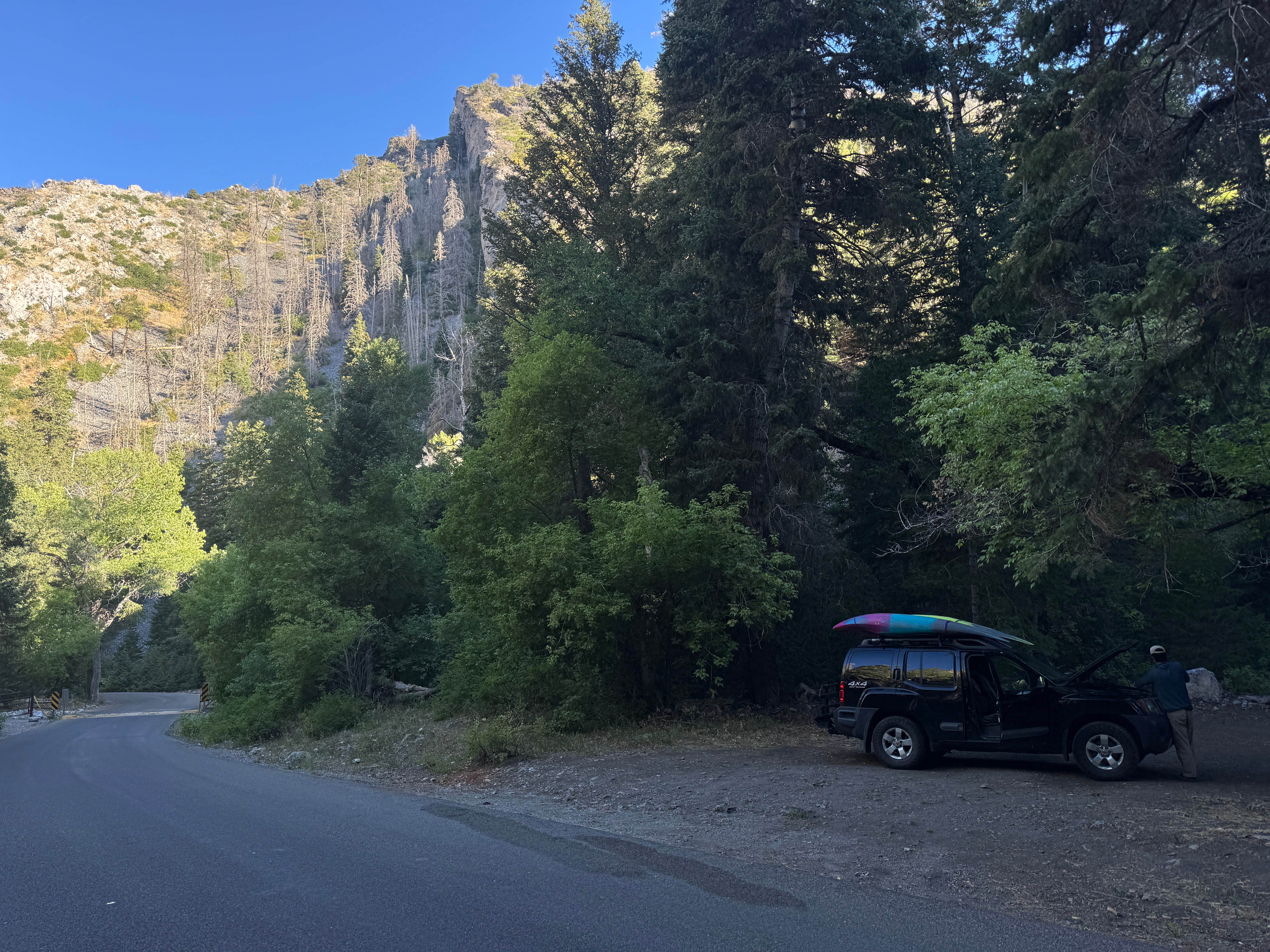 Camping near Cottonwood Campground: Tinney Flat, Santaquin, Utah