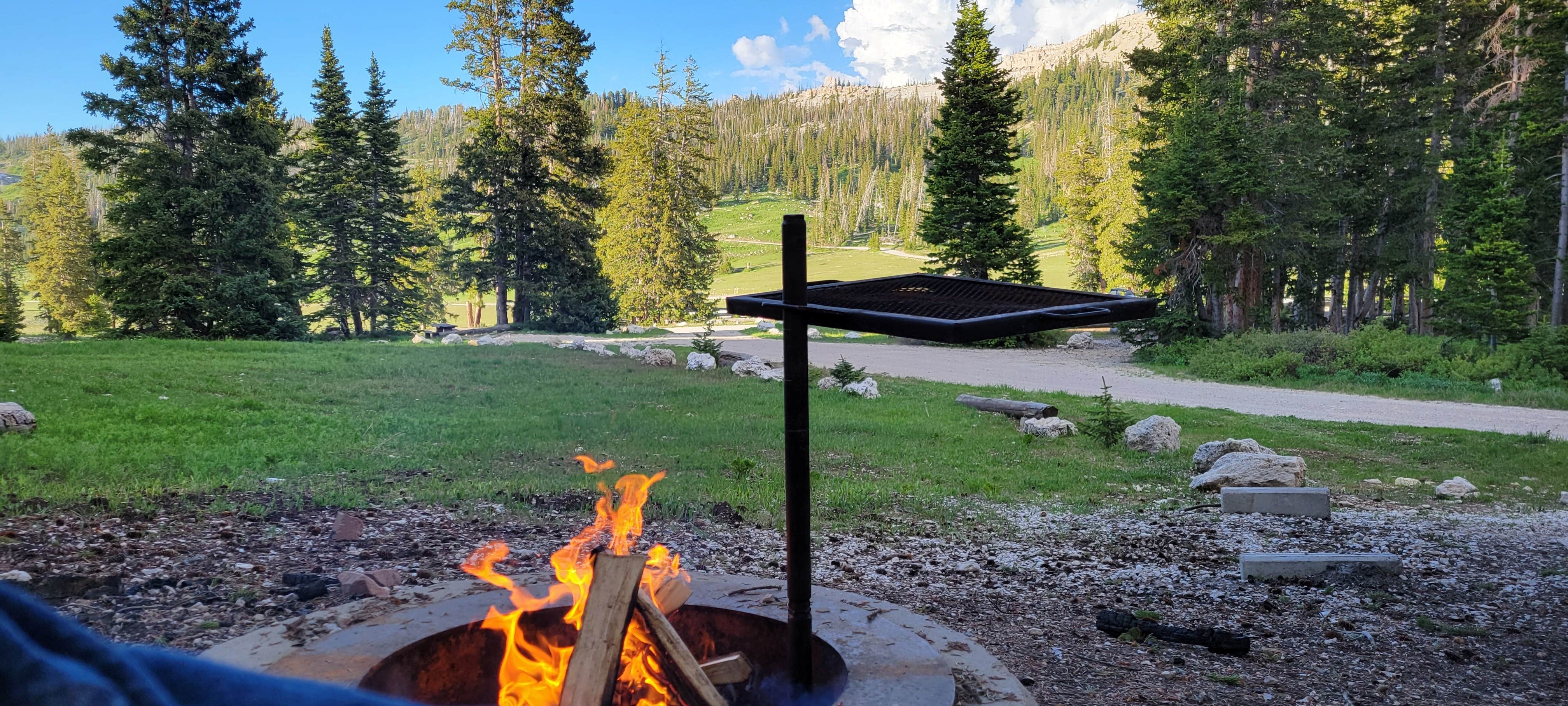 Camper submitted image from Twelve Mile Flat - 3