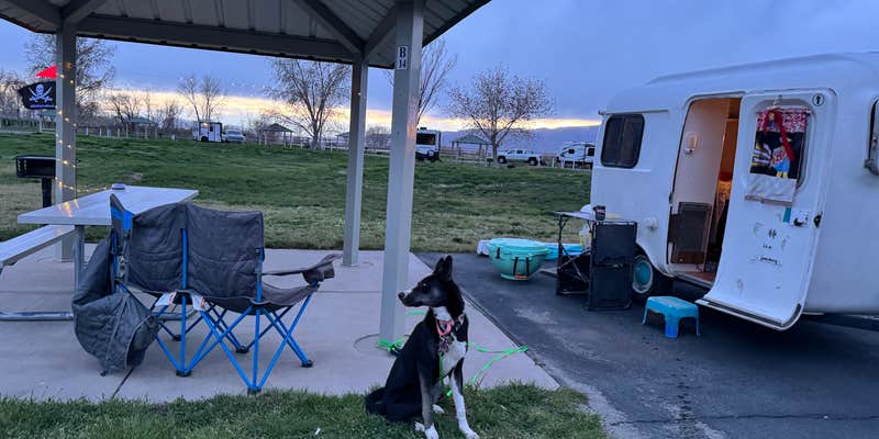 Camper submitted image from Utah Lake State Park Campground