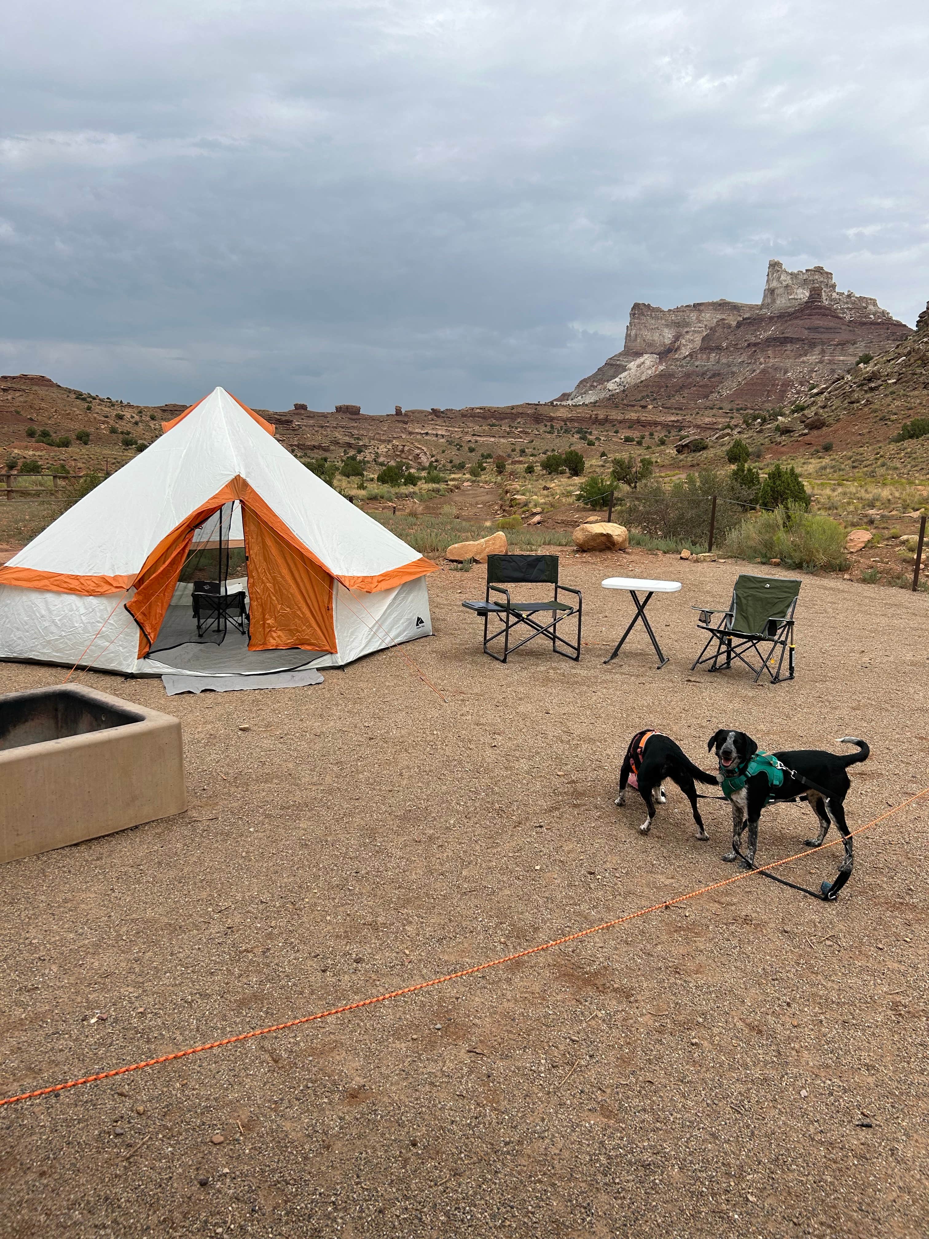 Bridgette H.'s photo of camping with pets at Valley of the Gods Dispersed Camping near Blanding, UT