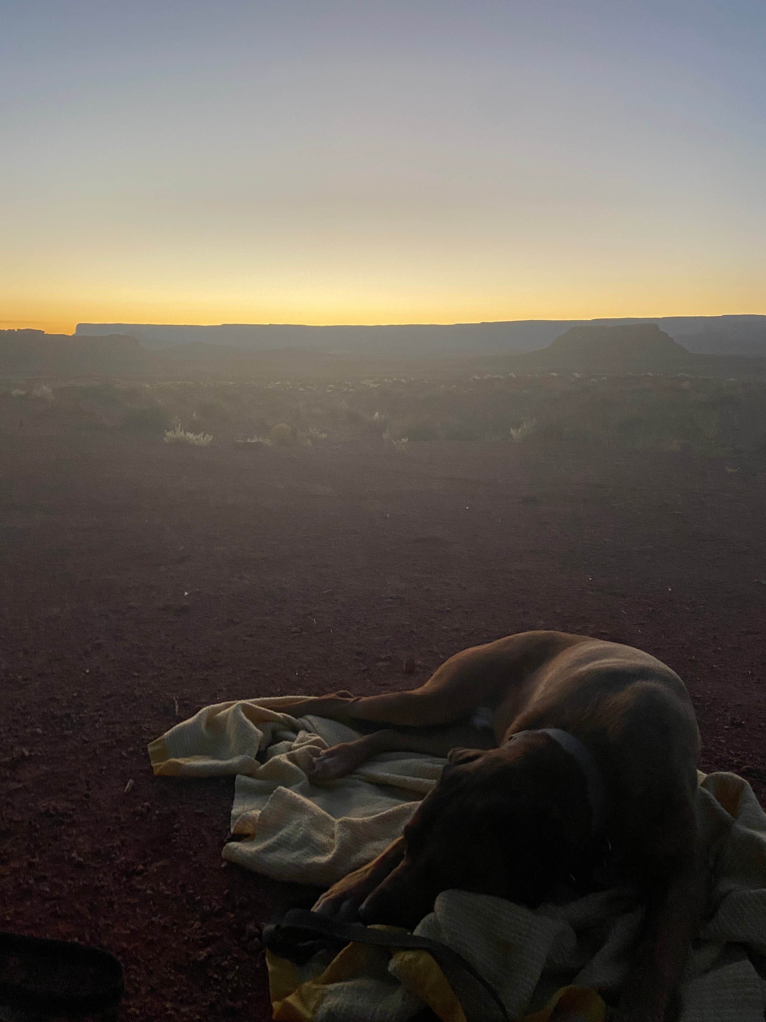Jessica C.'s photo of camping with pets at Valley of the Gods Dispersed Camping near Kayenta, AZ
