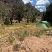 Review photo of Watchman Campground — Zion National Park by John S., May 5, 2026