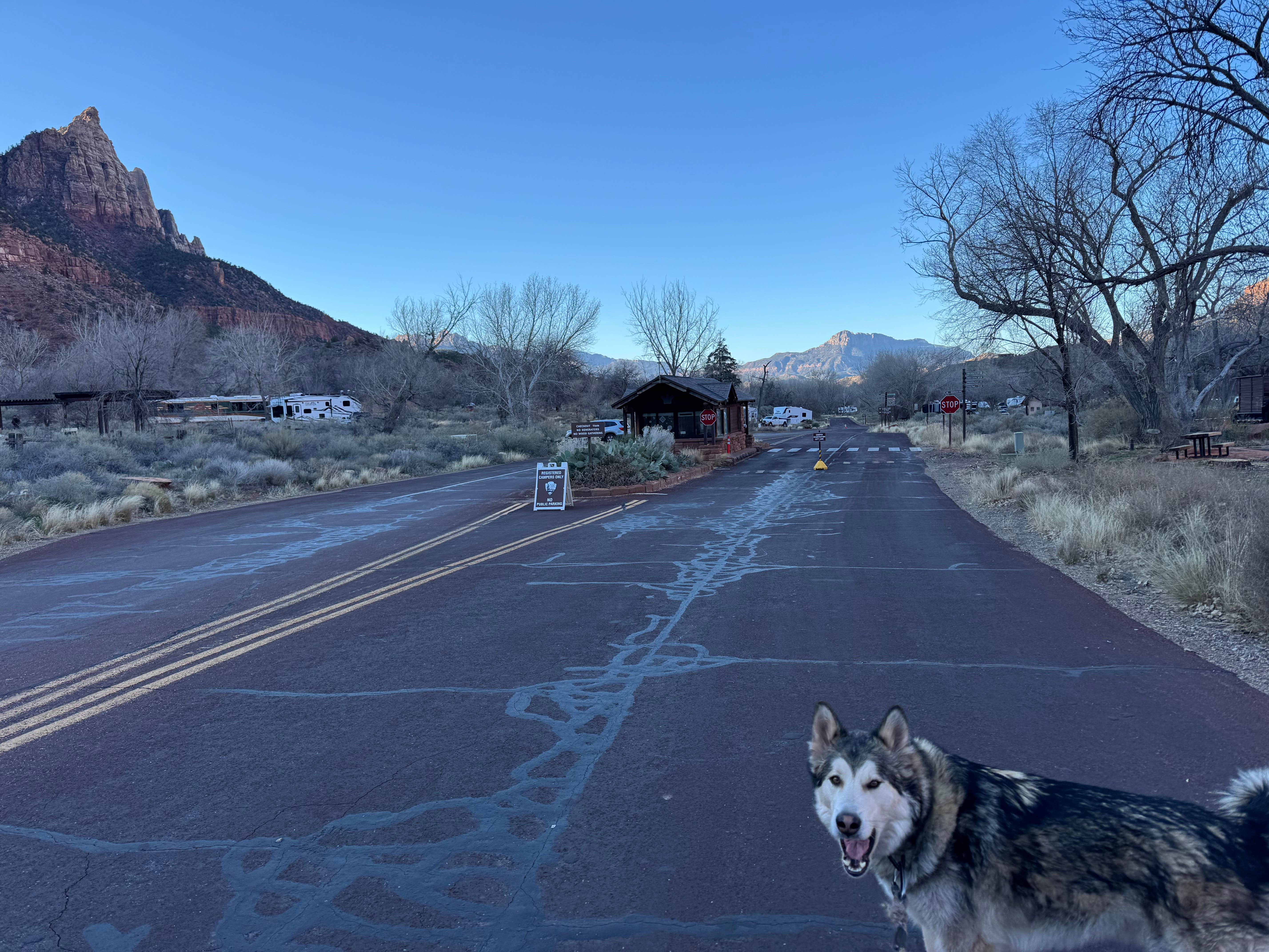 Cable A.'s photo of camping with pets at Watchman Campground — Zion National Park near Ivins, UT