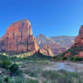 Review photo of Watchman Campground — Zion National Park by Shana D., May 7, 2024