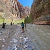 Review photo of Watchman Campground — Zion National Park by Shana D., May 7, 2024