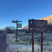 Review photo of Watchman Campground — Zion National Park by Cable A., February 15, 2026