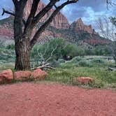 Review photo of Watchman Campground — Zion National Park by Shana D., May 7, 2024