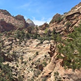 Review photo of Watchman Campground — Zion National Park by Benjamin W., April 25, 2024