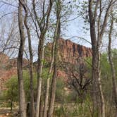 Review photo of Watchman Campground — Zion National Park by Steve H., April 8, 2025