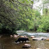 Review photo of Weber Memorial Park by Frank M., July 16, 2026