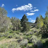 Review photo of White Bridge by Andrew H., May 21, 2026