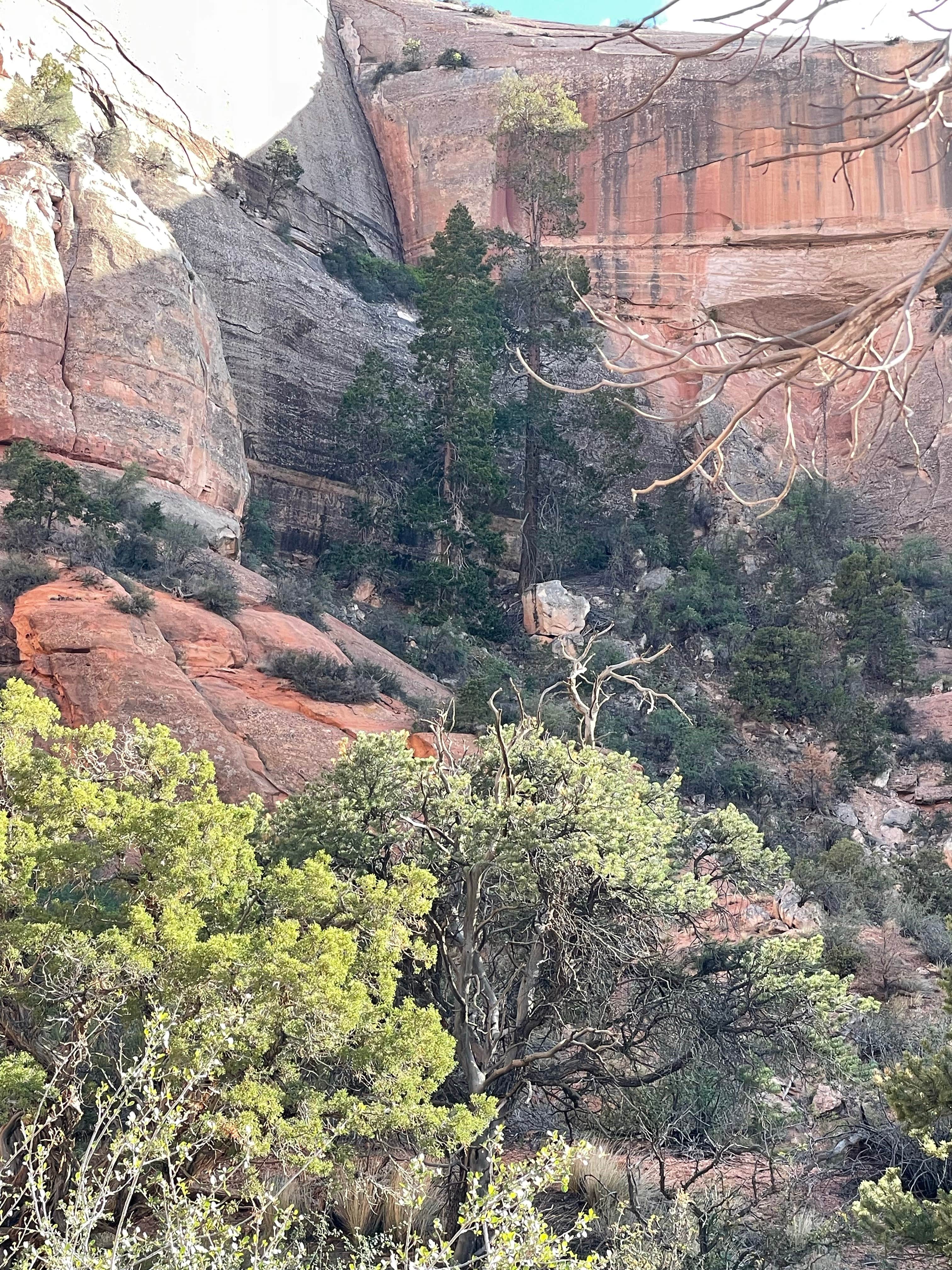 Camper-submitted photo at Windwhistle Campground near La Sal, UT