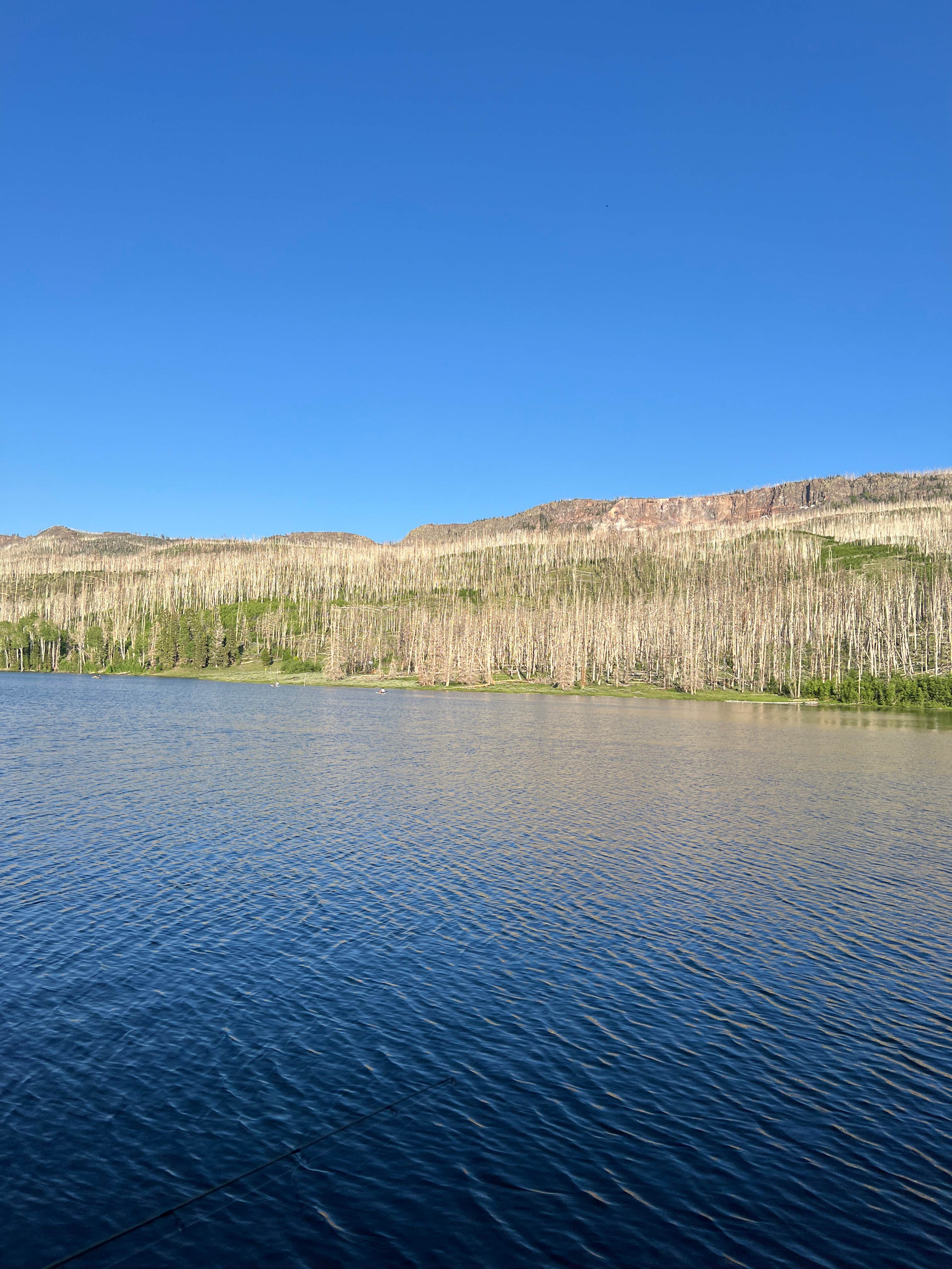 daniel H.'s photo of a dispersed camping area at Yankee Meadows near Beaver, UT