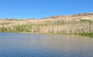 daniel H.'s photo of a dispersed camping area at Yankee Meadows near Summit, UT
