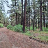 Review photo of Ute Campground by Mark M., September 29, 2026