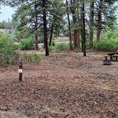 Review photo of Ute Campground by Mark M., September 29, 2026
