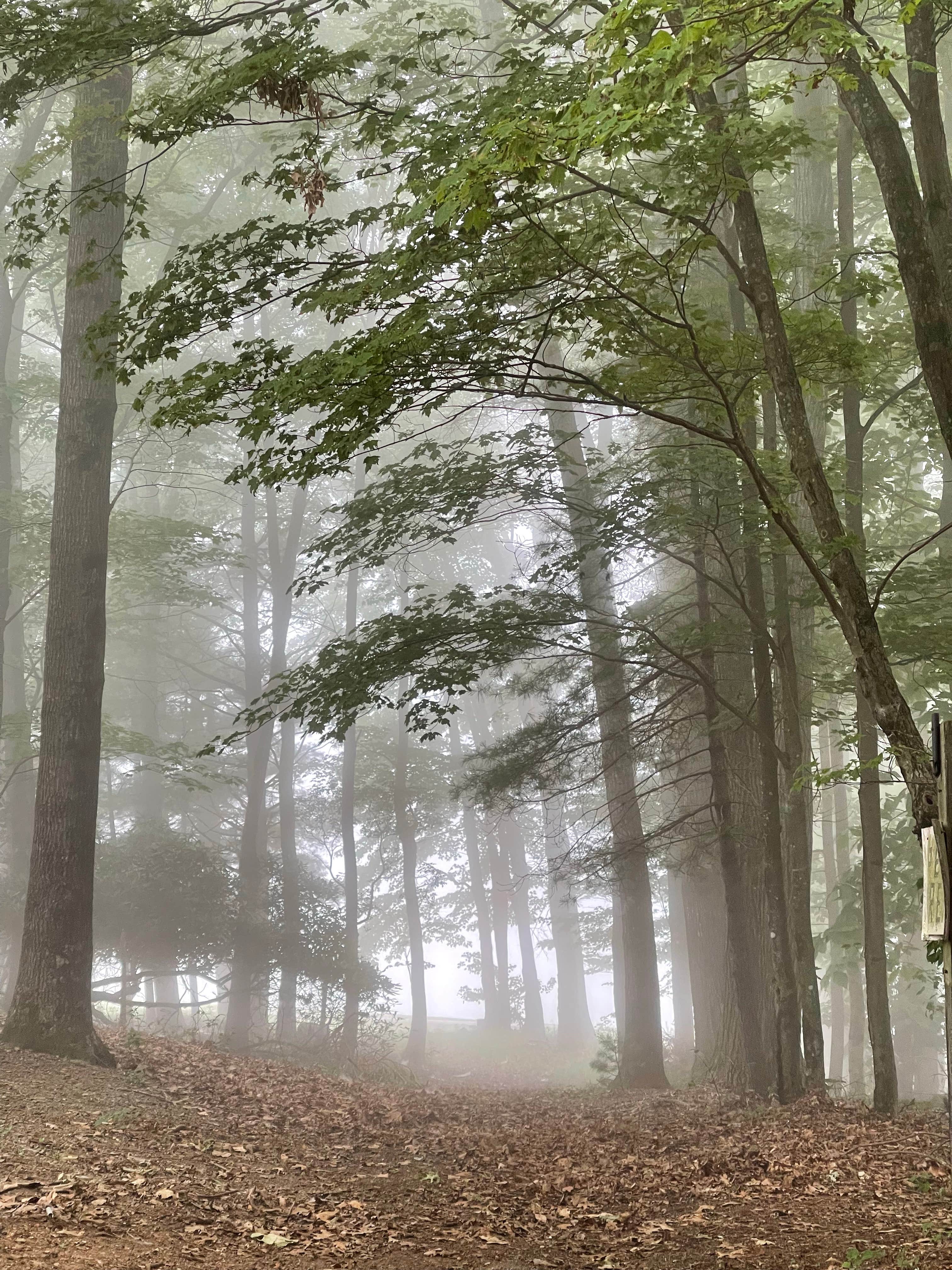 Camper-submitted photo at Utts Mountaintop Campground @ Fancy Gap near Cana, VA