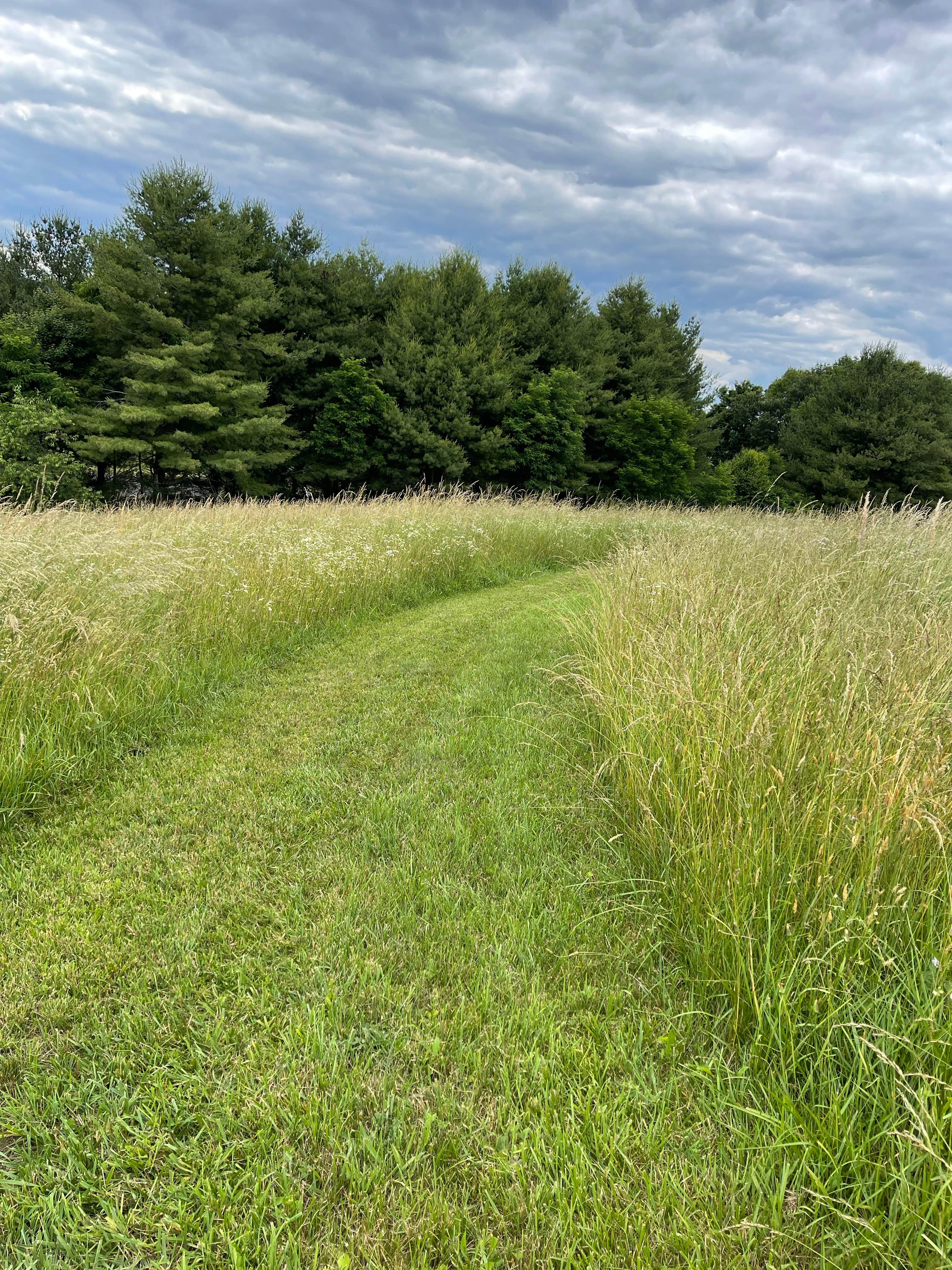 Camper-submitted photo at Utts Mountaintop Campground @ Fancy Gap near Cana, VA