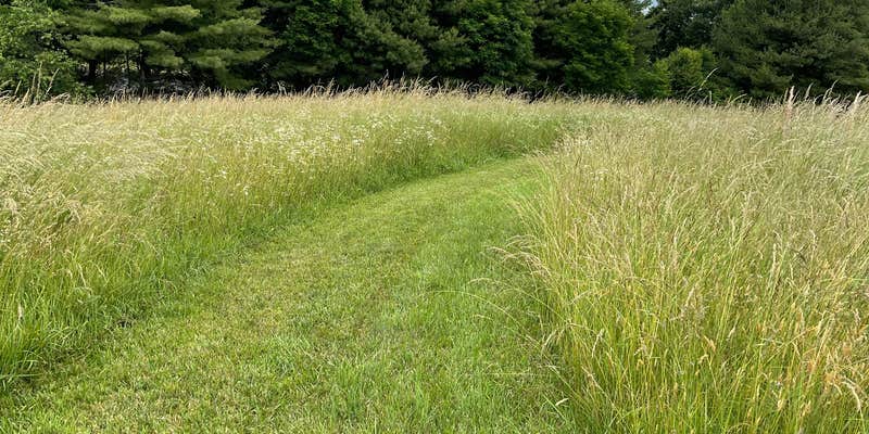 Camper submitted image from Utts Mountaintop Campground @ Fancy Gap