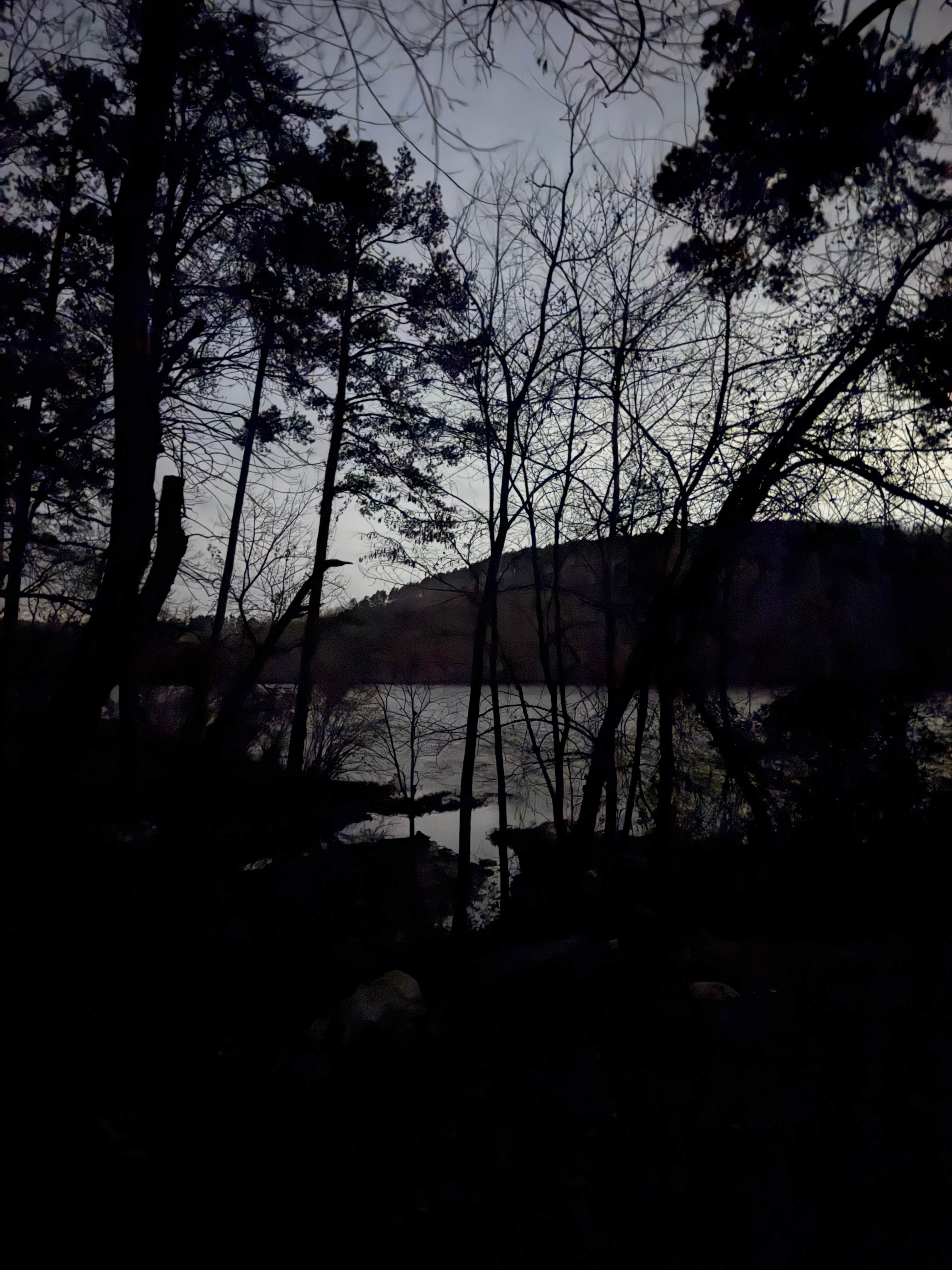 Ray N.'s photo of a dispersed camping area at Uwharrie National Forest near Aberdeen, NC