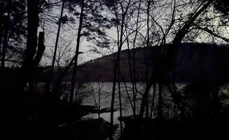 Ray N.'s photo of a dispersed camping area at Uwharrie National Forest near Aberdeen, NC