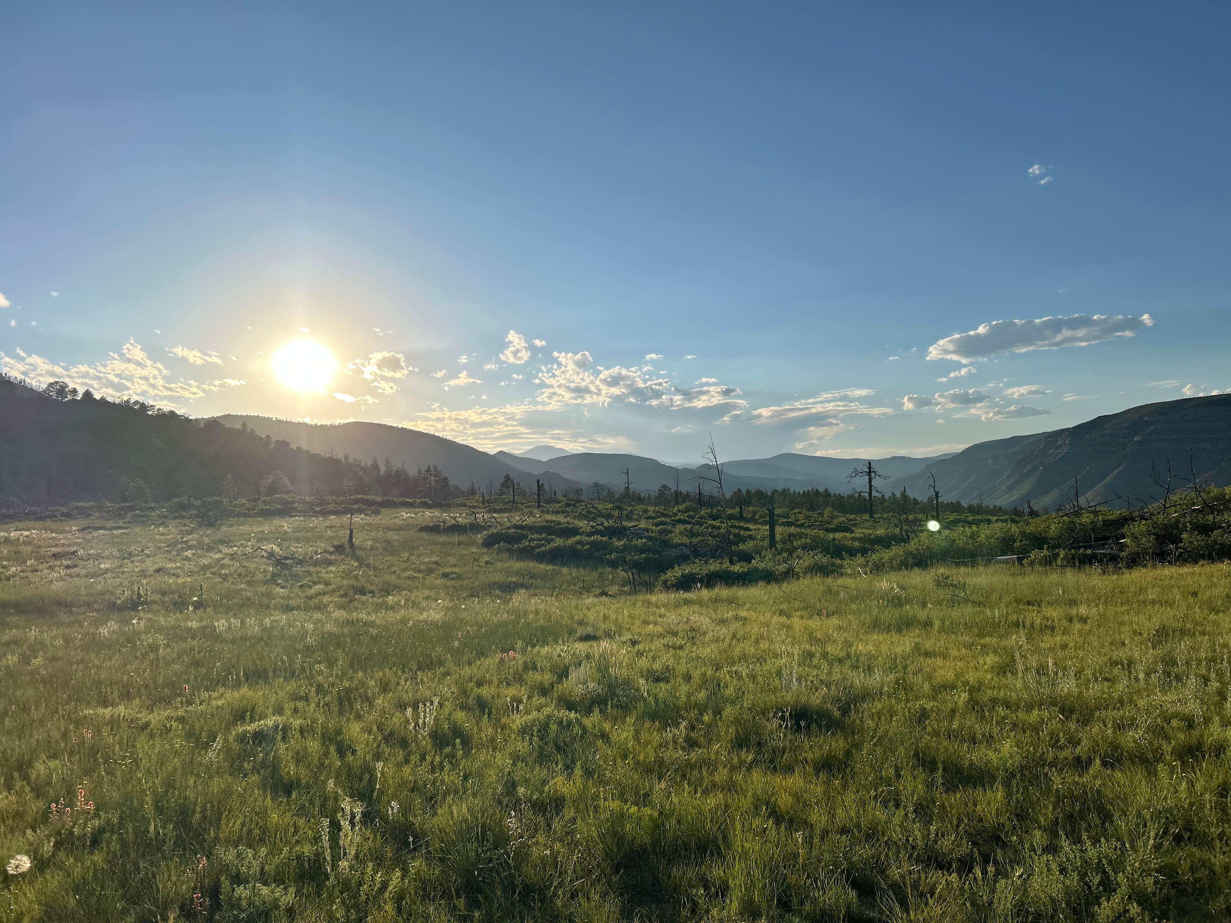 Camper-submitted photo at Vaca Camp near Ocate, NM