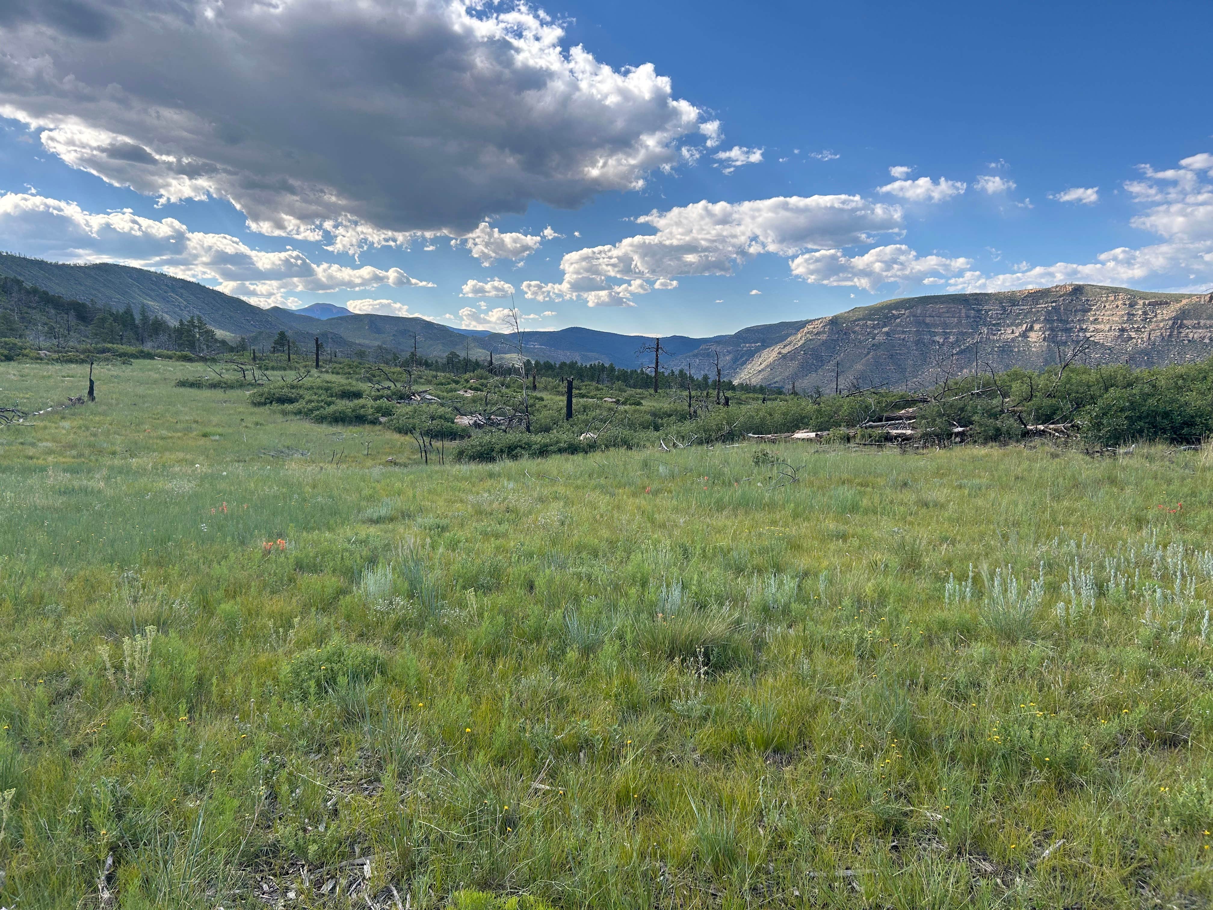 Camper-submitted photo at Vaca Camp near Ocate, NM