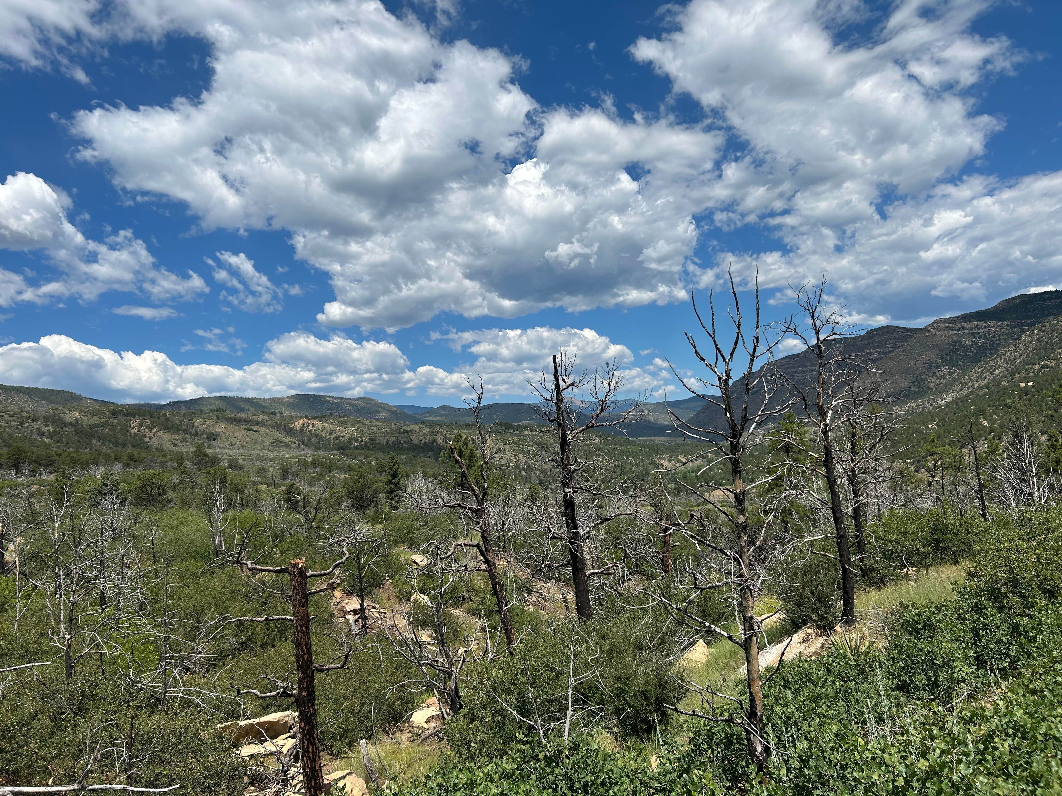 Camper-submitted photo at Vaca Camp near Ocate, NM