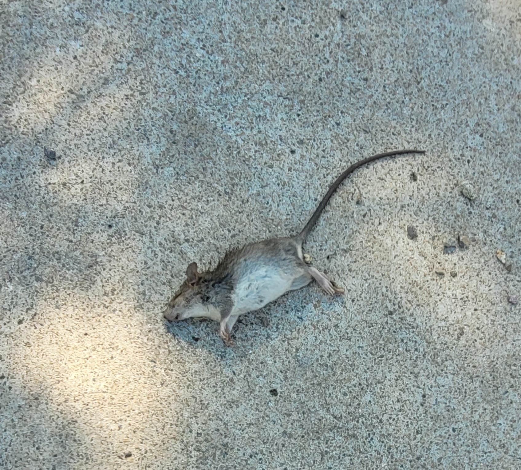 Camper-submitted photo at Vacationer RV Park near Bonita, CA