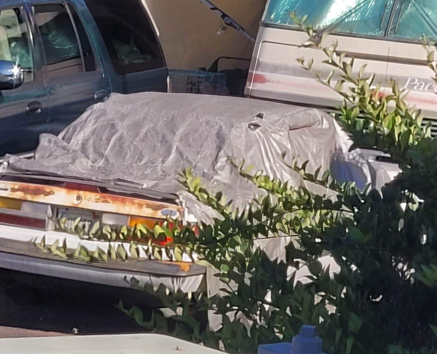 Camper-submitted photo at Vacationer RV Park near Bonita, CA