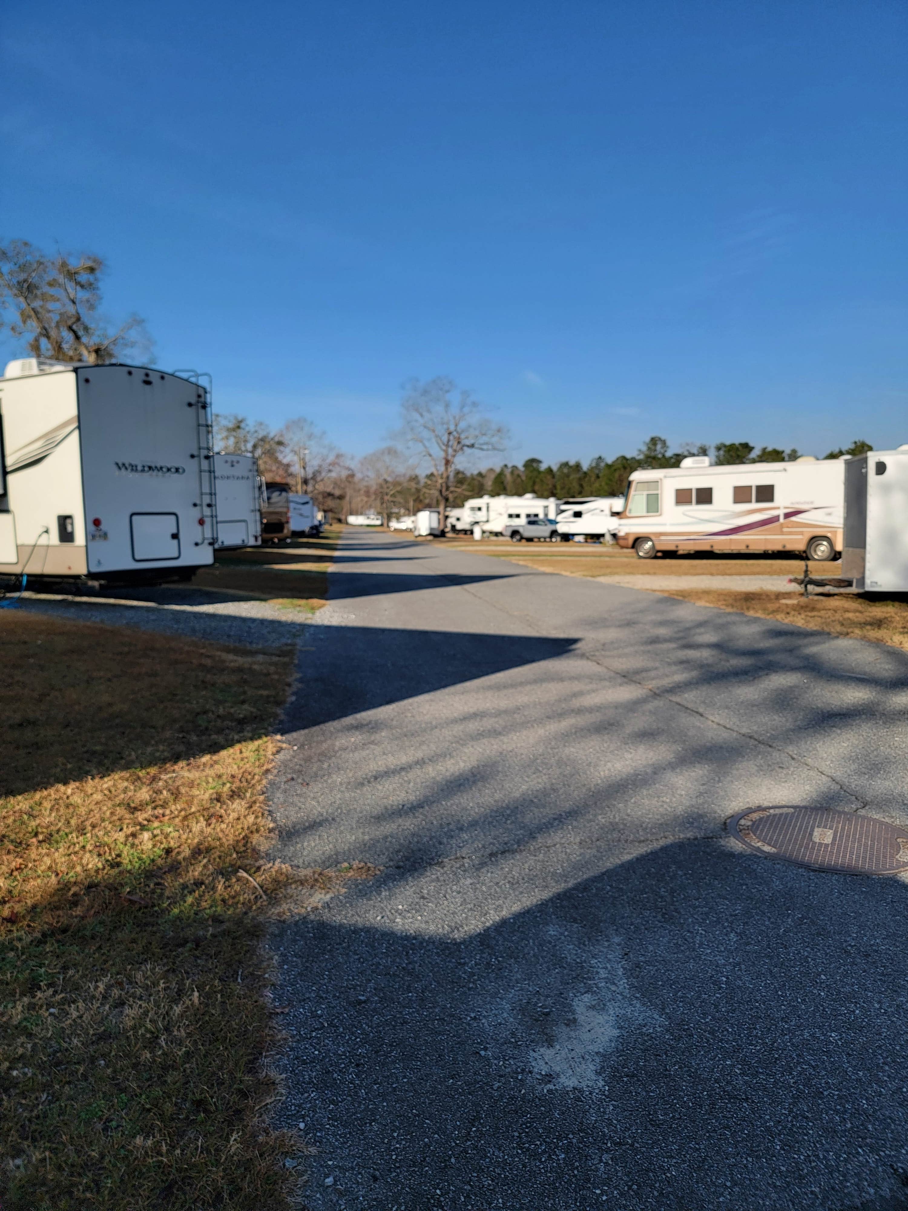 Camper submitted image from Valdosta Oaks RV Park - 1