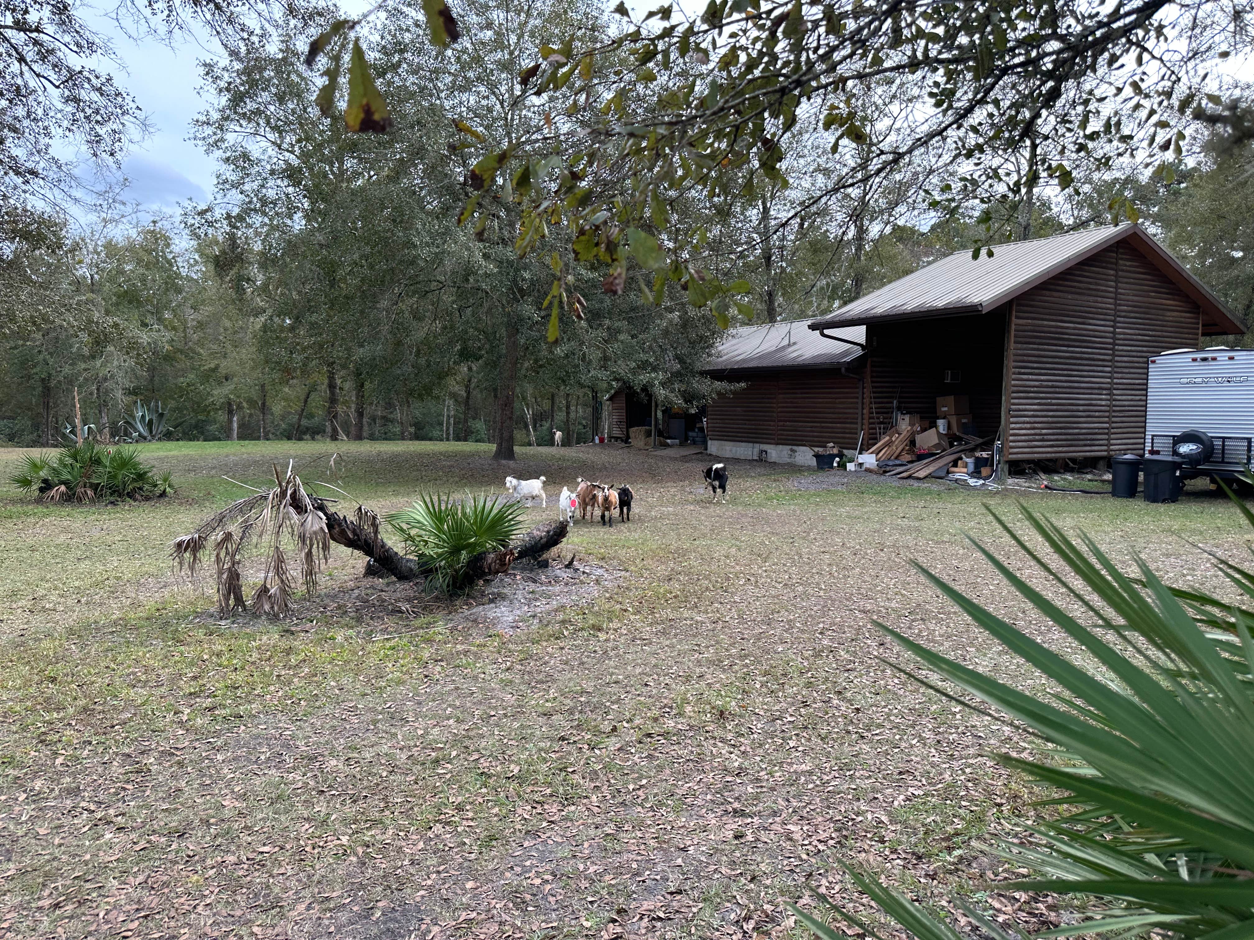 Camper submitted image from Valhalla Estate Farm - 5
