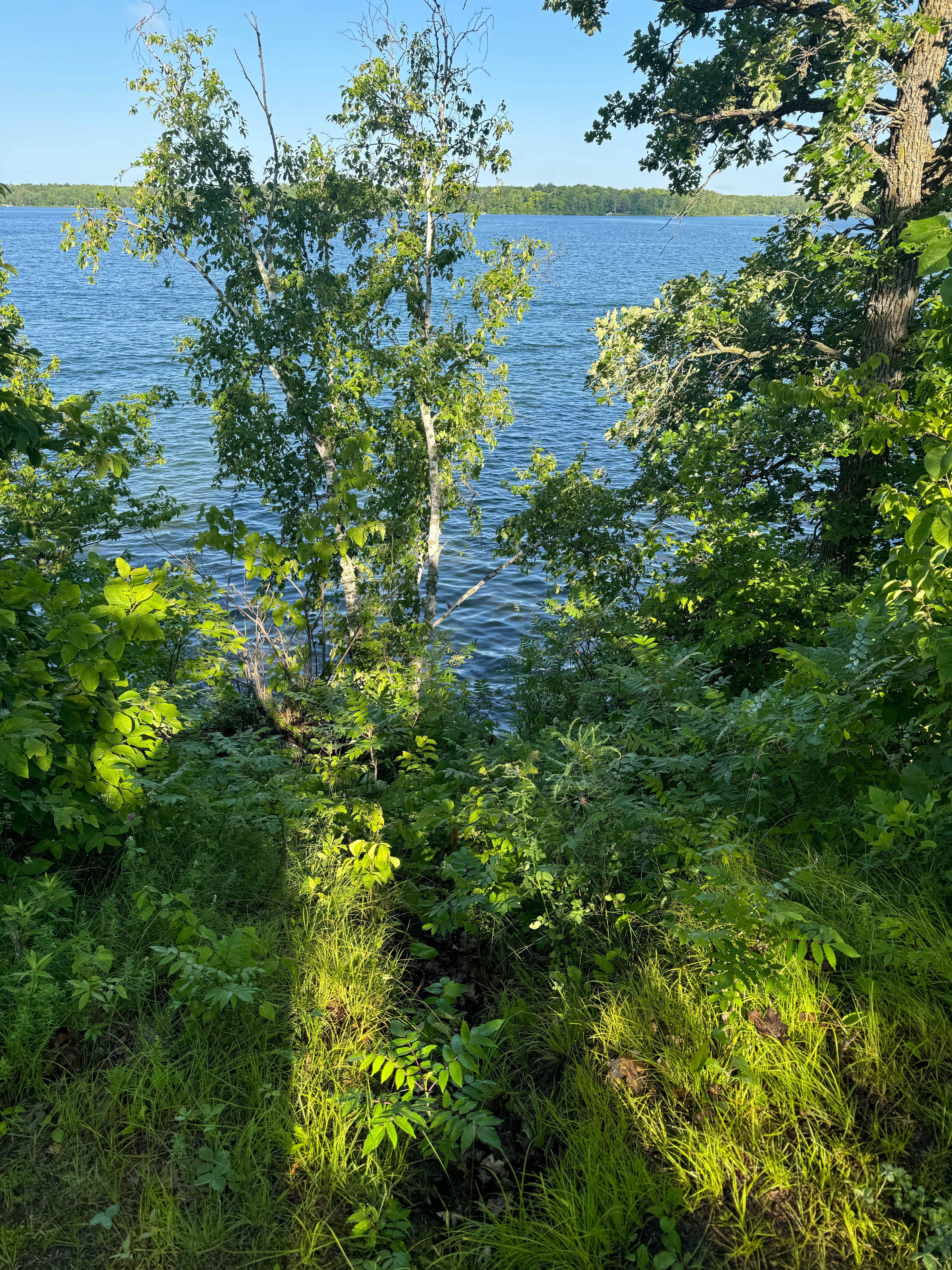 Camper-submitted photo at Valhalla Resort near Midway, MN