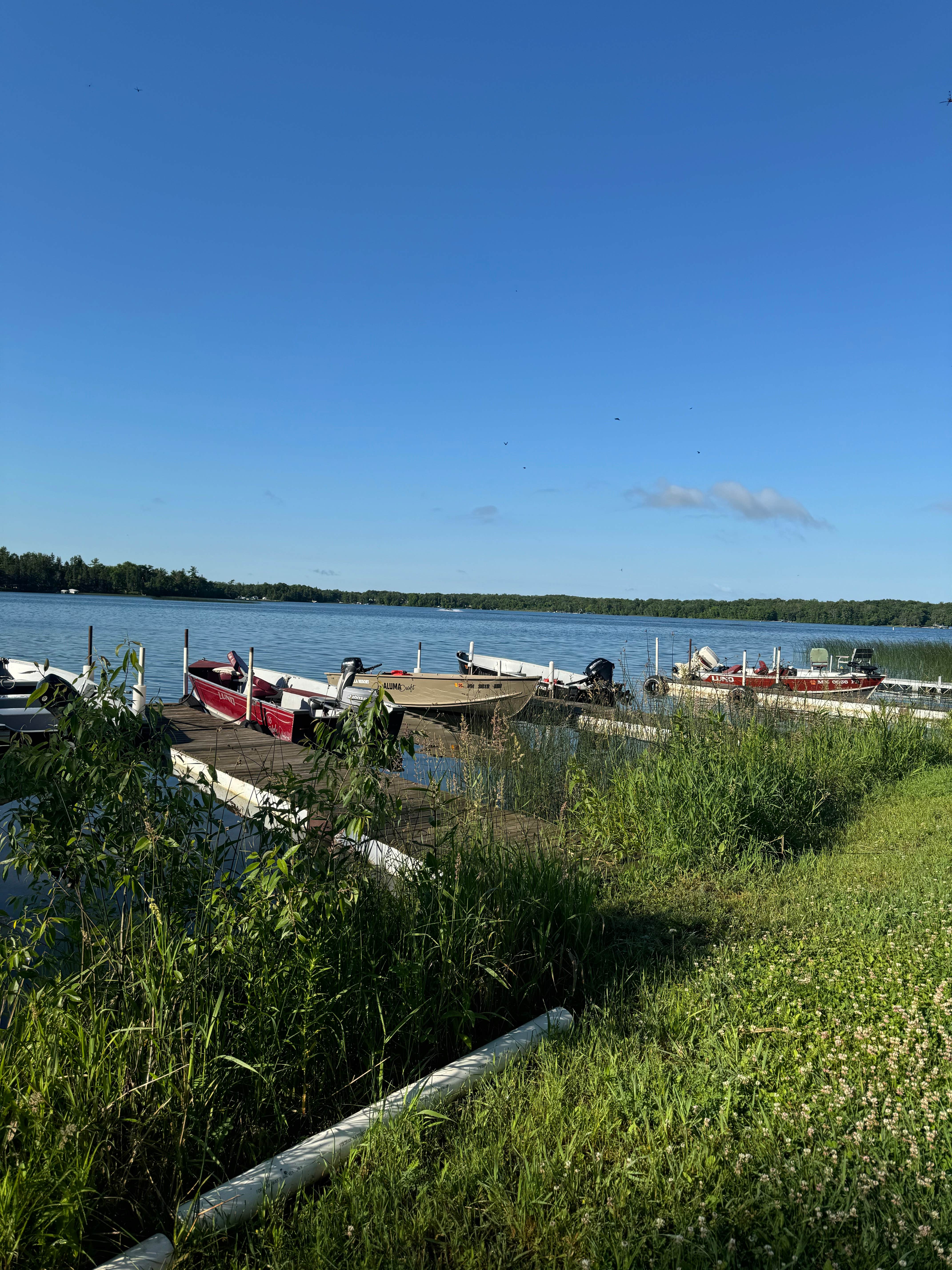 Camper-submitted photo at Valhalla Resort near Midway, MN