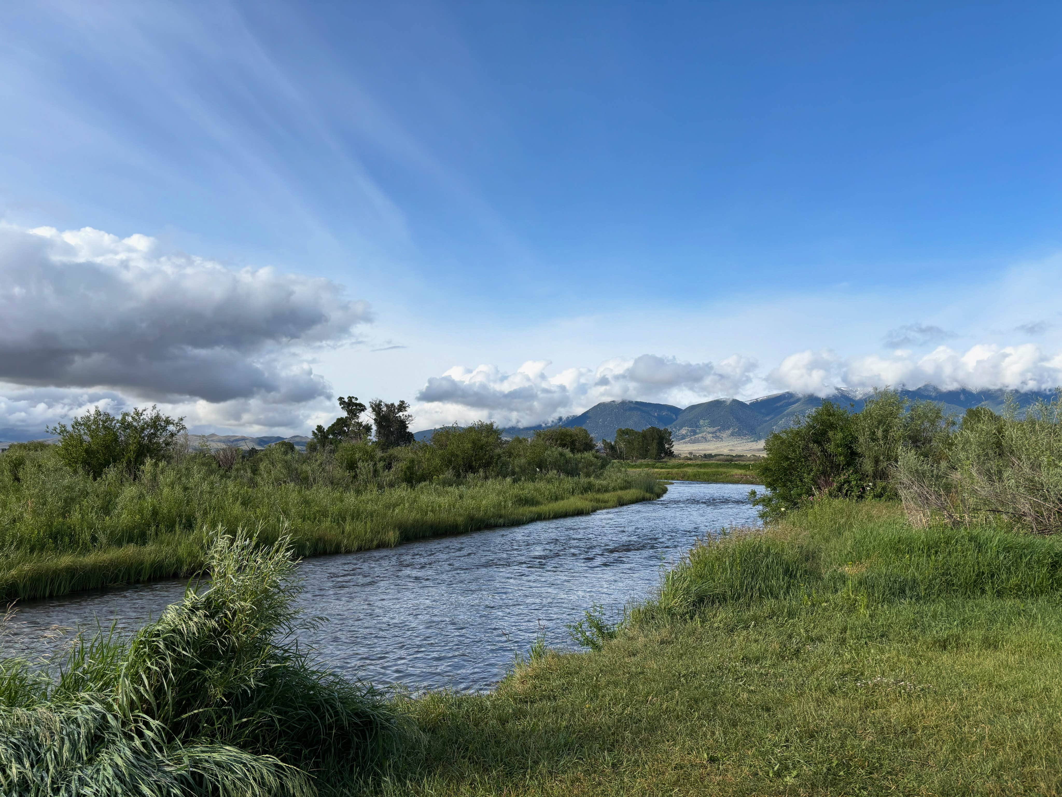 Camper-submitted photo at Valley Garden Campground near Ennis, MT