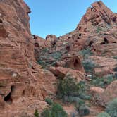 Review photo of Atlatl Rock Campground — Valley of Fire State Park by Steve S., November 27, 2025