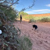 Review photo of Valley of the Gods Road Dispersed by Jill M., June 11, 2026