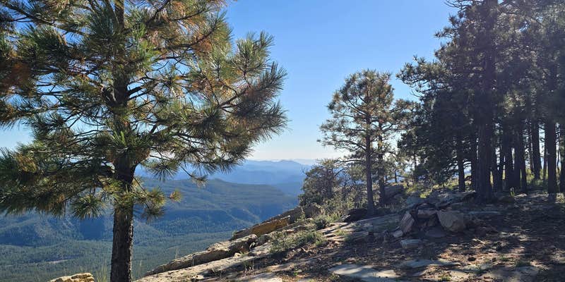 Camper submitted image from valley view Arizona