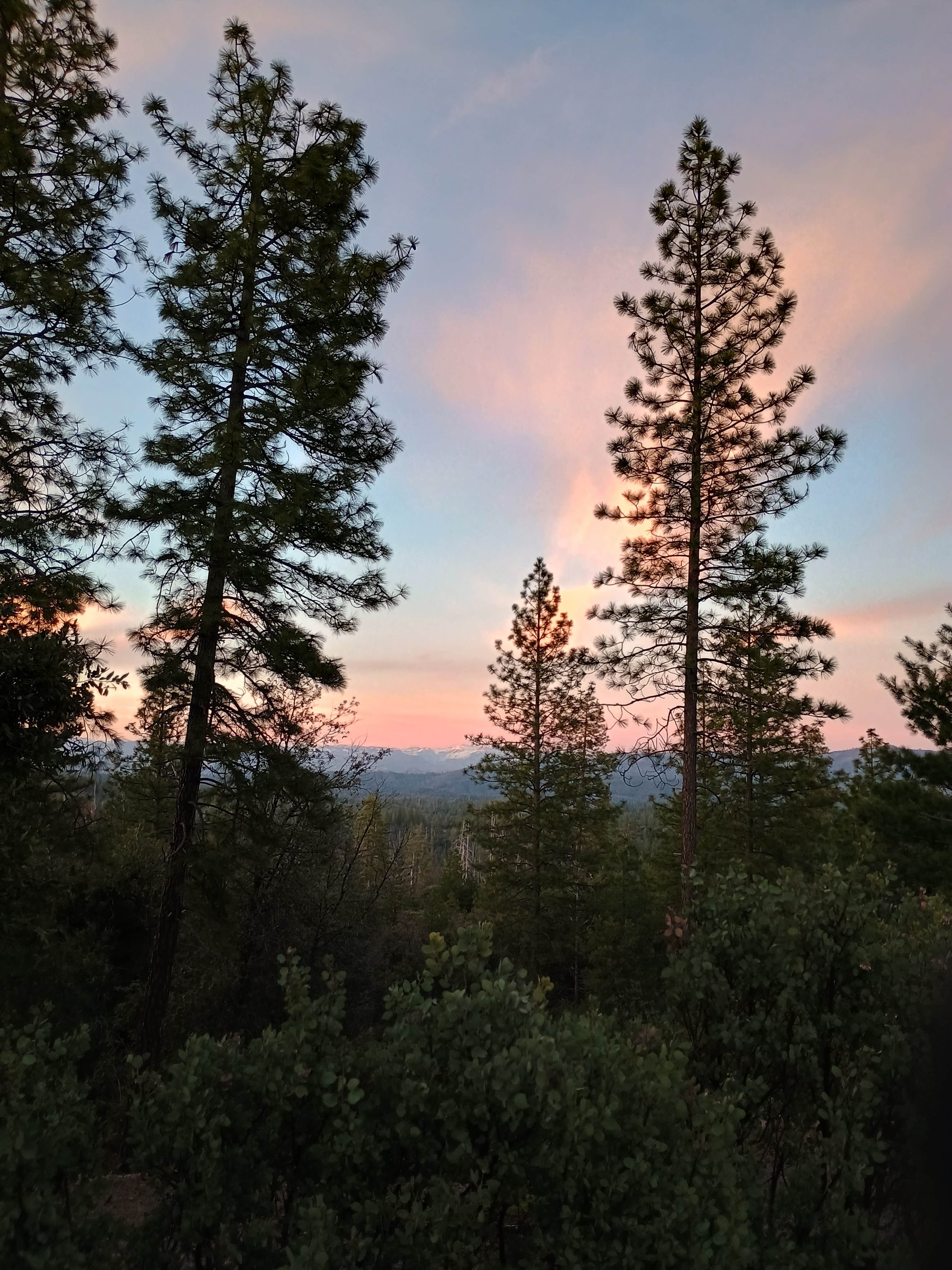 Jessica S.'s photo of a dispersed camping area at Van Haven Dispersed Site Yosemite near Fort Jones, CA
