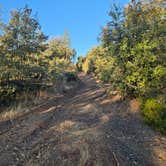 Review photo of Van Haven Dispersed Site Yosemite by Matt G., October 15, 2026