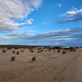 Review photo of Van Life Campground: Joshua Tree by Robert G., February 4, 2024