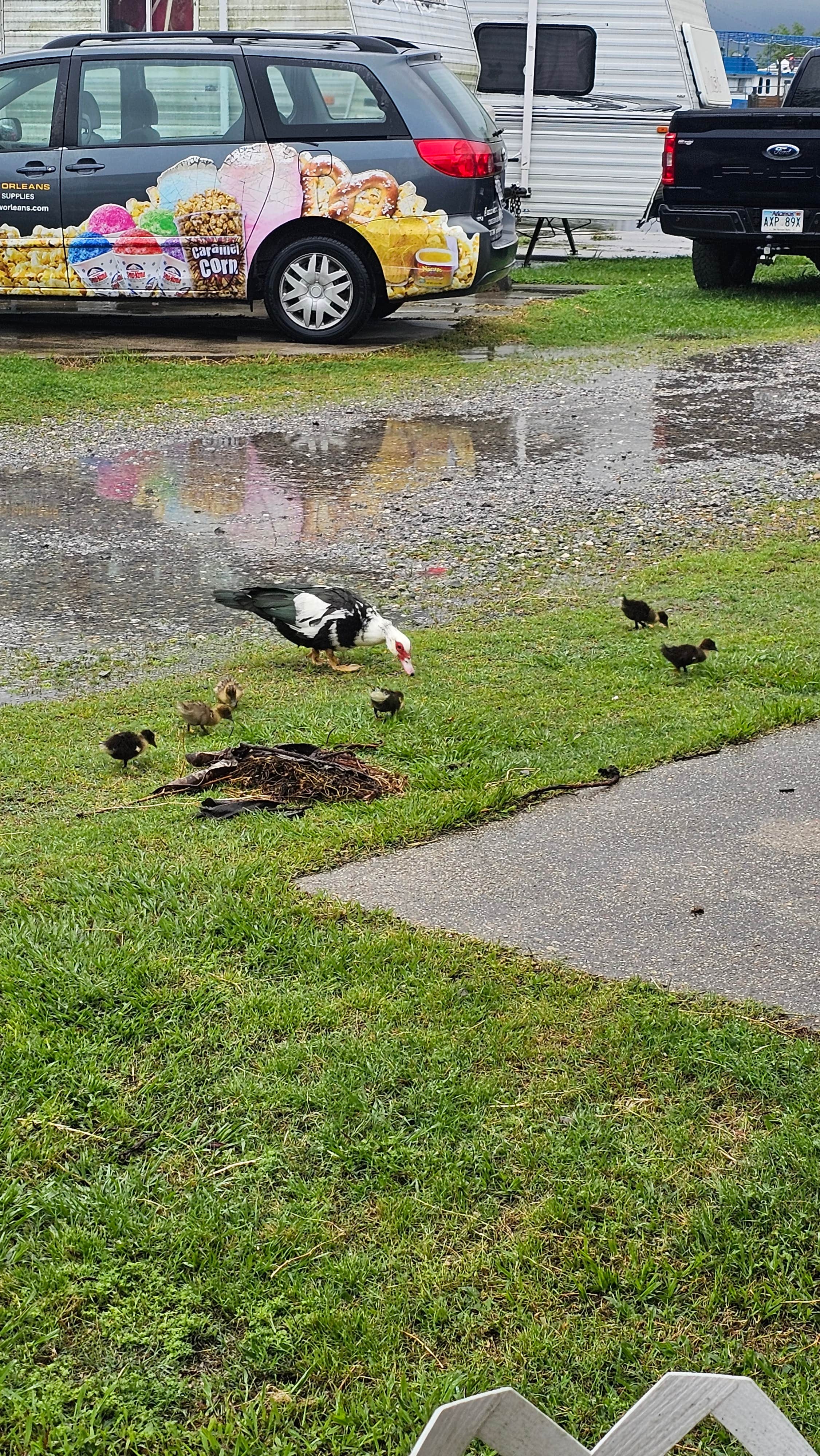Camper-submitted photo at Vanacor's RV Campground & Apts near Lockport, LA