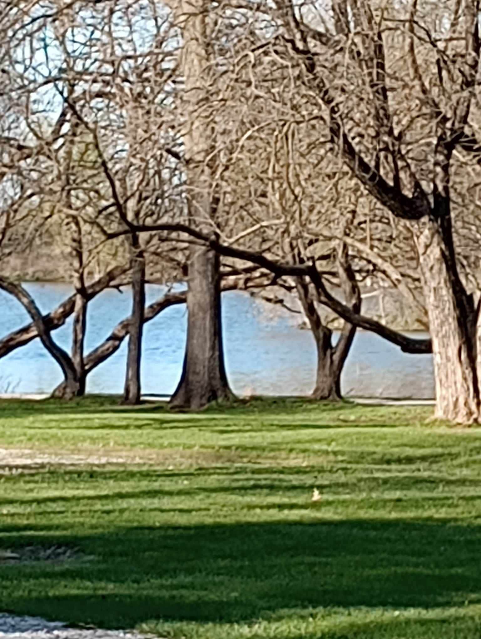 Camper submitted image from Vandalia Community Lake - 5