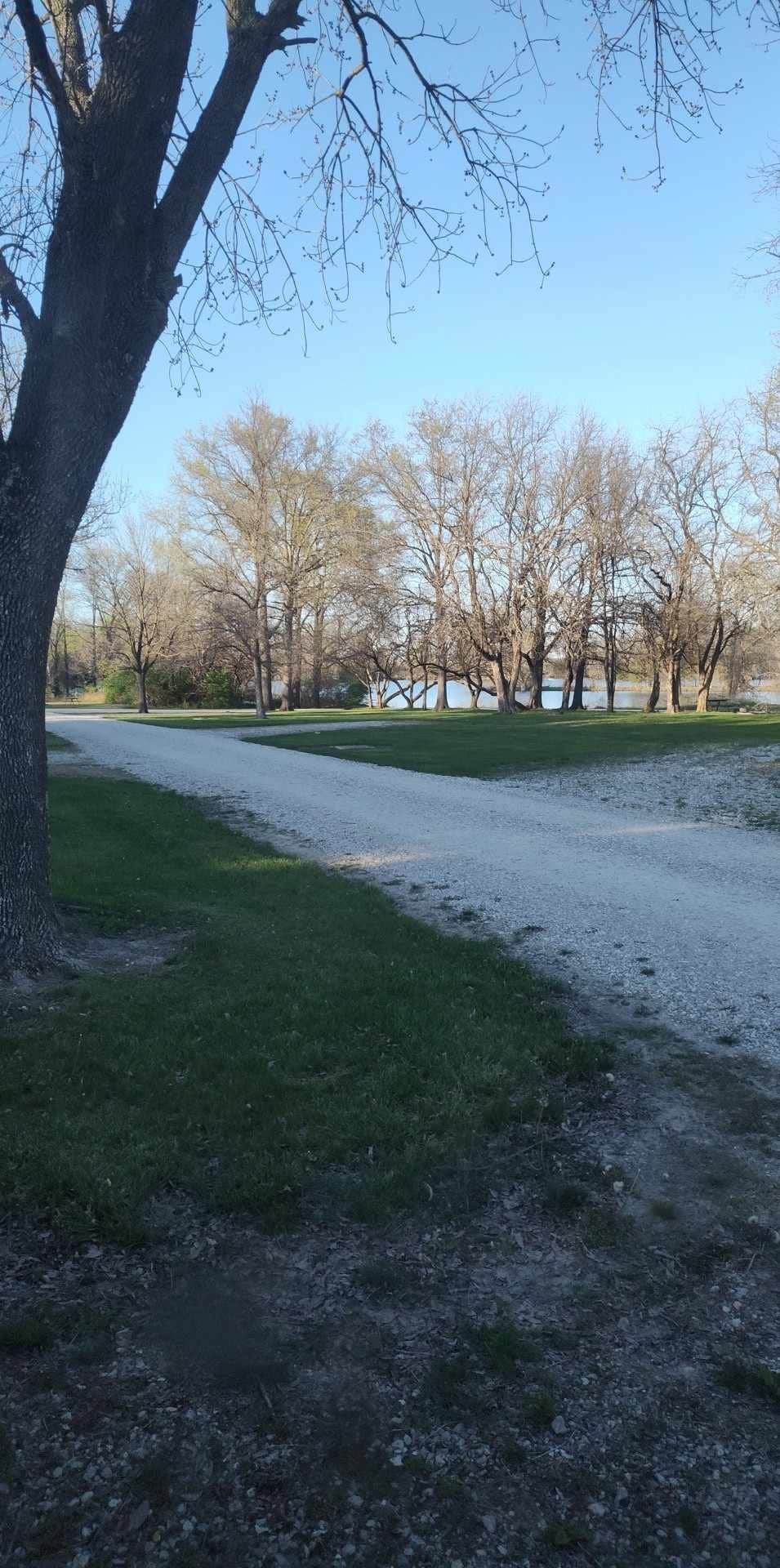 Camper submitted image from Vandalia Community Lake - 3