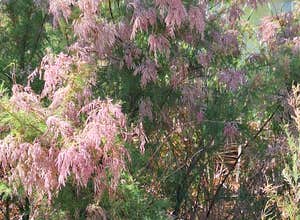 Vanderbilt Pond Road