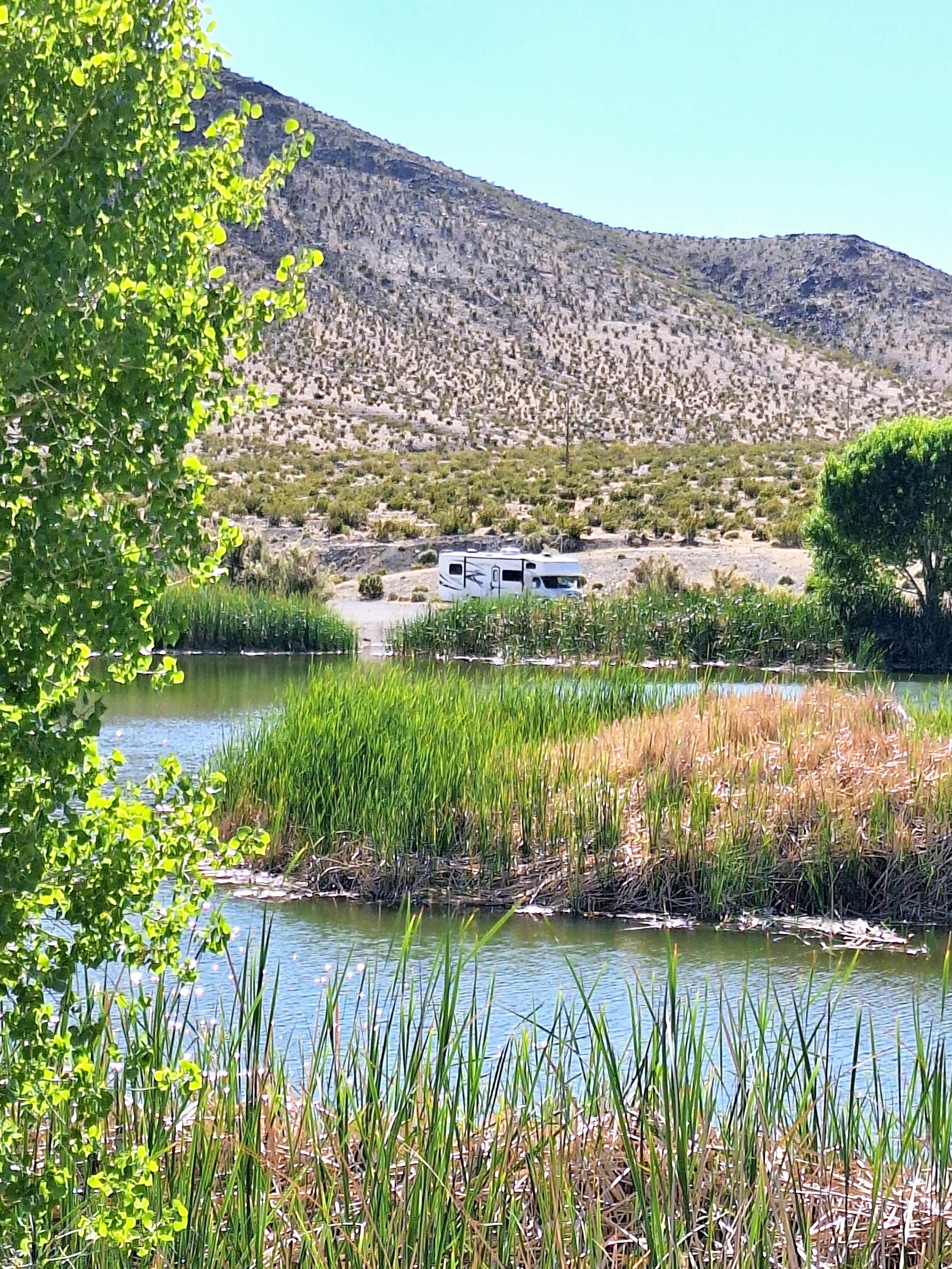 Letha F.'s photo of a dispersed camping area at Vanderbilt Pond Road near Beatty, NV