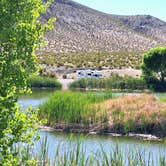 Review photo of Vanderbilt Pond Road by Letha F., June 9, 2024