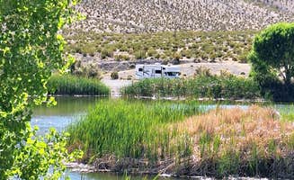 Letha F.'s photo of a dispersed camping area at Vanderbilt Pond Road near Death Valley National Park